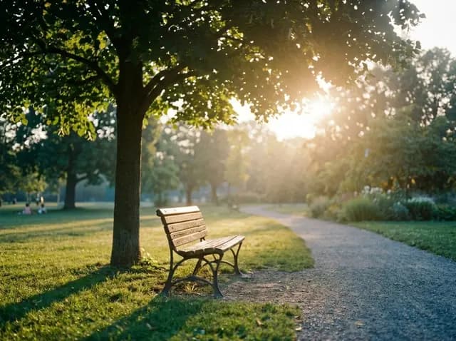 The Bench in Sunny Park (Test Entry)